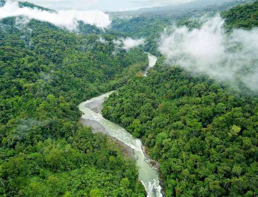 Costa Rica trips for singles
