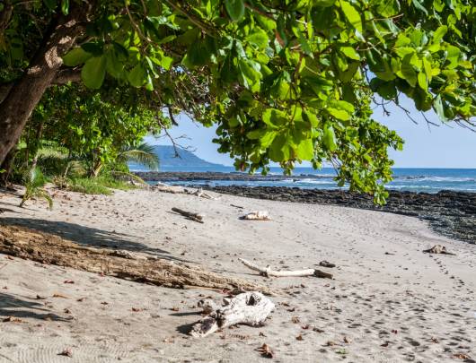 trips to costa rica for singles