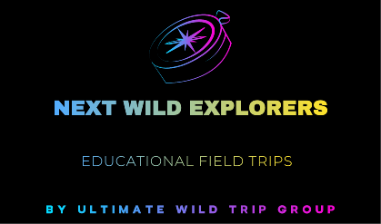 Wild Residences Collection